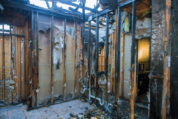 Professional Smoke Odor Removal technician working in Solon, OH